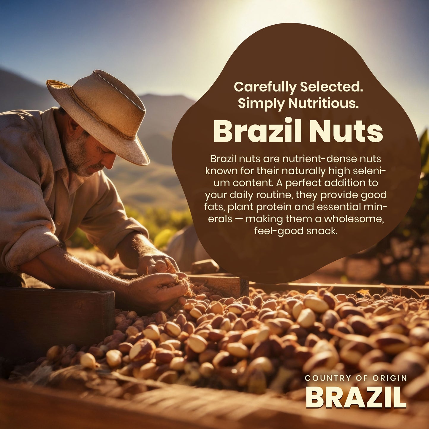 Brazil Nuts - Premium Quality, 150g