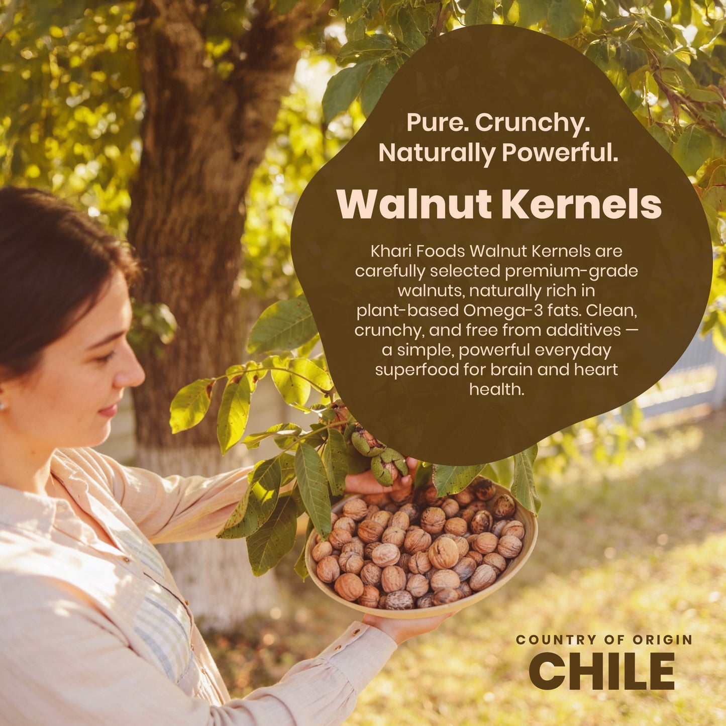Premium Walnut Kernels, Akhrot Giri (Vacuum Sealed)