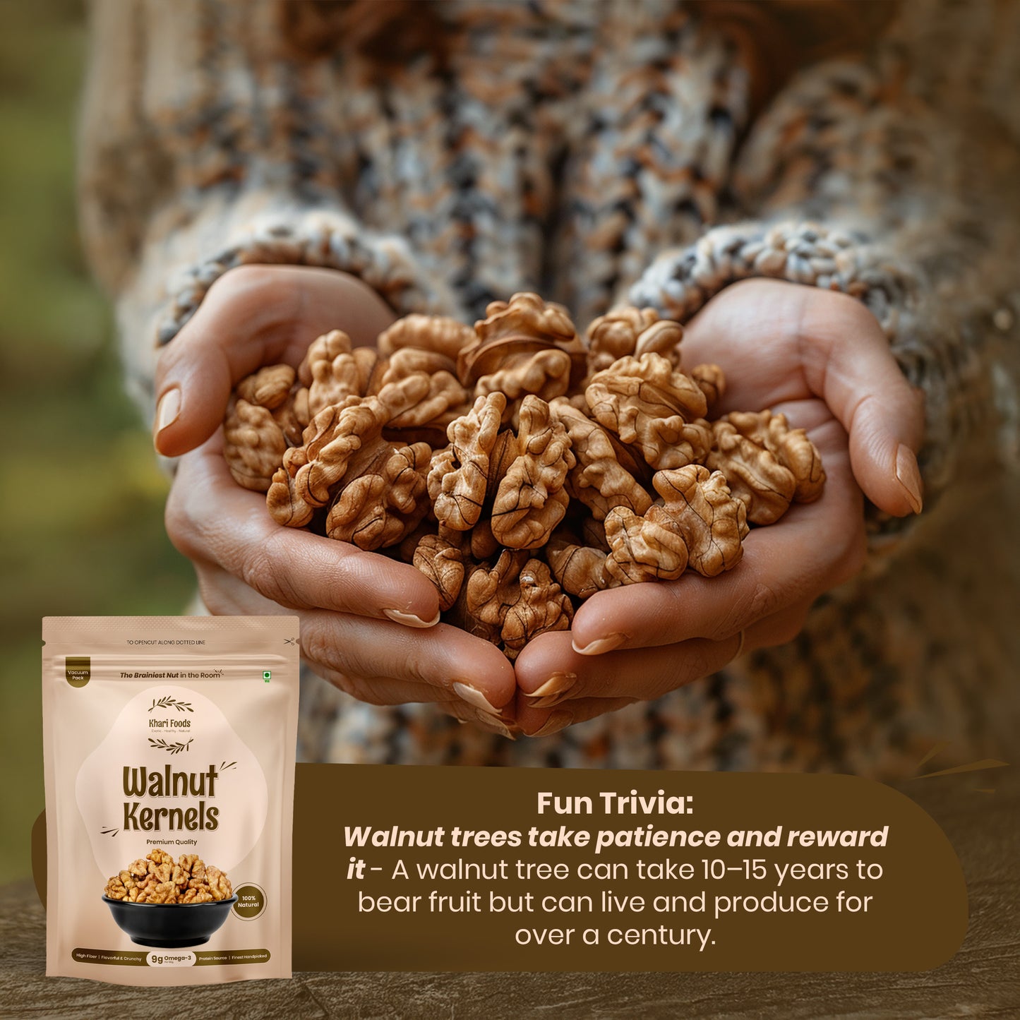 Premium Walnut Kernels, Akhrot Giri (Vacuum Sealed)