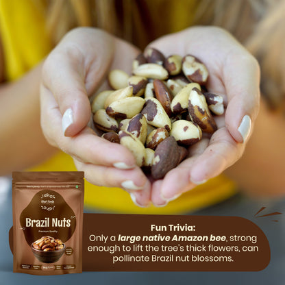 Brazil Nuts - Premium Quality, 150g